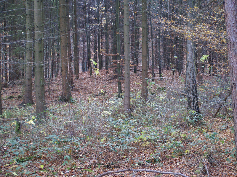 Keltengrab
